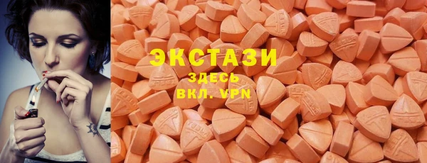 ECSTASY Бородино