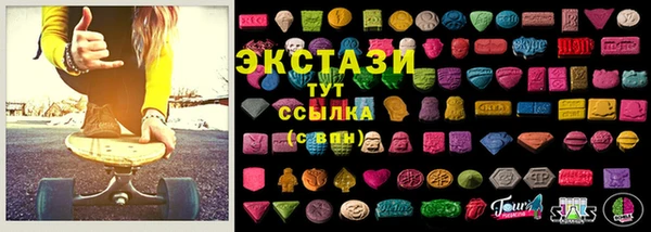 ECSTASY Бородино